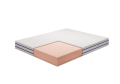 Florence_a.png