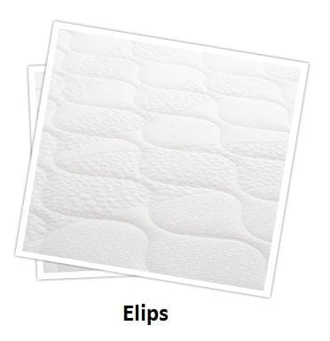 elips.jpg