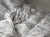 Satyna EXCLUSIVE_61A (4).gif