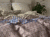 Satyna EXCLUSIVE_62A (4).gif