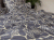 Satyna EXCLUSIVE_63A (4).gif