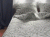 Satyna EXCLUSIVE_56A (4).gif