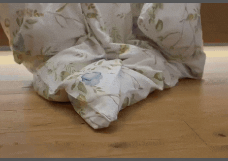 Satyna EXCLUSIVE_65A (10).gif